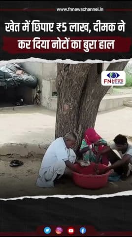 खेत में छिपाए ₹5 लाख, दीमक ने कर दिया नोटों का बुरा हाल