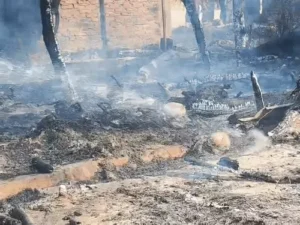 gifmagicsite-2026-04-21t164113908_1776771299